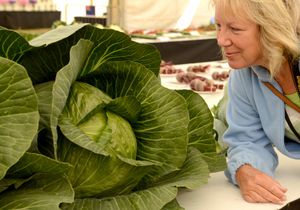 Jane Tyre looking a big cabbage