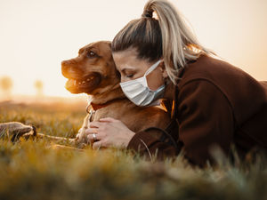 Supporting image for story: Leaving paw prints on the heart: The joy of pets