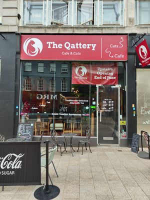 The Qattery 