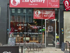 ing image for story: Furry friends from Qatar will be the purrfect attraction at Wolverhampton’s first cafe for cat lovers