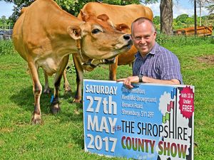 Supporting image for story: Final countdown for Shropshire County Show