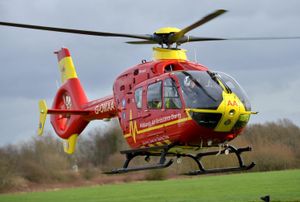 Supporting image for story