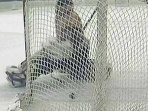 Supporting image for story: Tigers V Phoenix: Did this puck cross the line?