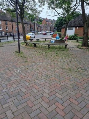 Before: the weeds around Severn Street in Bridgnorth