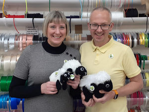 Supporting image for story: Shops raising the baas to promote Wellington