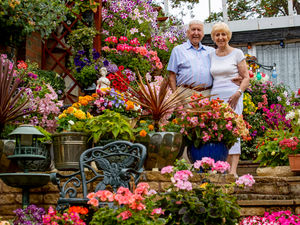 Supporting image for story: 'Best garden in Dudley' still as stunning as ever
