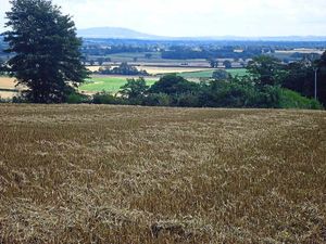 The land at Hopton Hill could have an earth-sheltered home