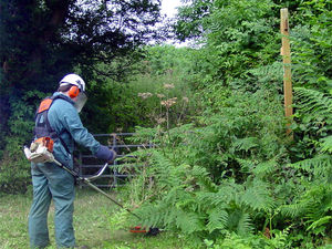 Supporting image for story: Various options are being considered for work which is needed at a Knighton beauty spot.