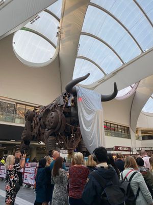 Hundreds turned up to help welcome Ozzy "the raging" bull to his new home at Birmingham New Street Station. Credit: Hannah Gallop