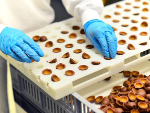 Supporting image for story: Food and drink firms urged to have their say on Brexit issues