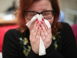 Supporting image for story: ‘Hidden reservoir of bacteria’ found to block treatment of nasal infections