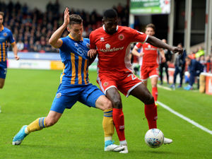 Supporting image for story: Walsall 1 Shrewsbury Town 1 - Report and pictures