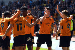 There are expected to be plenty of ins and outs at Molineux this summer (© AMA SPORTS PHOTO AGENCY)