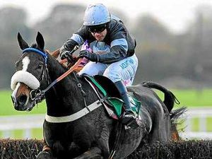 Supporting image for story: King George looks an option for Weird Al