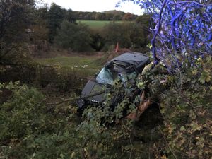 Supporting image for story: Two adults and children escape serious injury after car leaves M54 and hits tree near Shifnal
