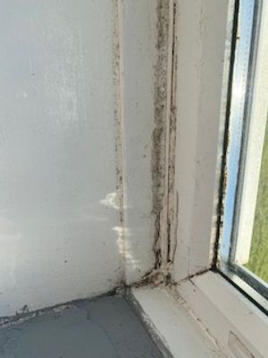Mould in the property