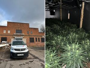 Supporting image for story: Thousands of cannabis plants worth up to £2.5m discovered in abandoned print works in Newport