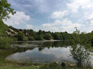 Supporting image for story: 20-acre patch of paradise on the market for £500,000