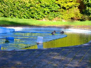 Supporting image for story: Possible new lease of life for Market Drayton outdoor pool