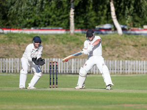 Supporting image for story: Six-shooter Green helps Beacon gun down leaders