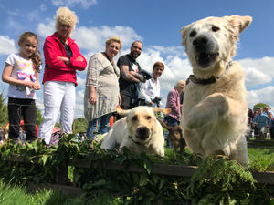 Supporting image for story: Village fair has two full days of entertainment for all ages