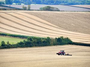 Supporting image for story: Human health at risk due to sludge use on farmland, High Court told