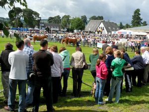 Supporting image for story: Royal Welsh Virtual Show celebrates huge success as more than 50,000 tune in