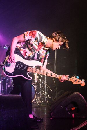 I Don't Know How But They Found Me. Pictures by: Eleanor Sutcliffe