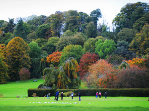 Supporting image for story: Play area could be created in grounds of Himley Hall