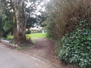 Supporting image for story: Community garden hope to save green space in Shrewsbury from development 