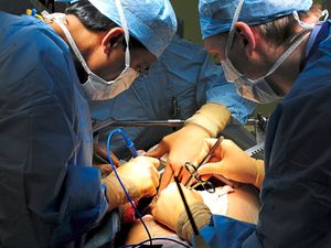 Supporting image for story: Organ Donation Week: 'To give the chance of life to someone is the most precious gift'