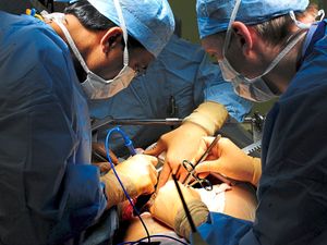 Supporting image for story: Organ Donation Week: 'To give the chance of life to someone is the most precious gift'