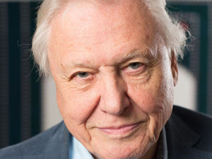 Supporting image for story: Peter Rhodes on signing the eco-pledge, exciting sins and the spiritual elevation of Sir David Attenborough