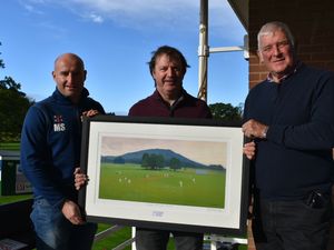 Supporting image for story: An artist and sporting legend is helping to raise money for Wellington Cricket Club with limited edition print