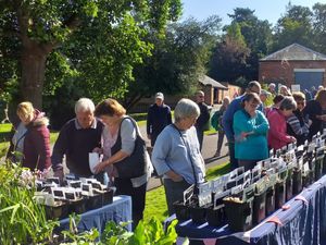 Supporting image for story: Popular autumn plant fair returning to Weston Park