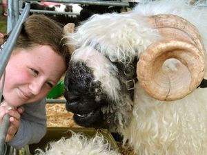 Supporting image for story: Burwarton Show ends in success with no buts about it