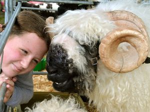 Supporting image for story: Burwarton Show ends in success with no buts about it