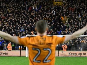 Supporting image for story: Ex-Wolves striker Jon Dadi Bodvarsson has no regrets over Reading move