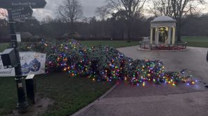 The fallen Christmas tree in The Quarry.
