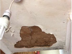 Supporting image for story: 'Unscrupulous' Wolverhampton landlords fined after leaking shower led to ceiling collapse