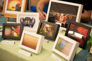 Shropshire's crafters turned out in droves to sell their wares for the community group