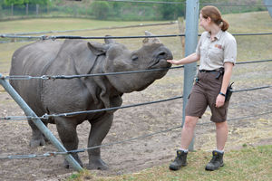 Laura Willis with Rap the Asian Rhino