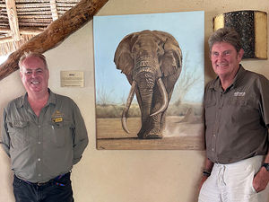 Supporting image for story: Shropshire artist has his animal creations displayed in Kenyan safari lodge