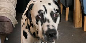 Since his injury Floyd has experienced stiffness around his head, bulging eyes and difficulty eating