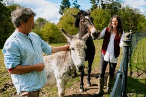 Simon Trueman, Dusty the Donkey, Dililah the Mule and Jak Hickman