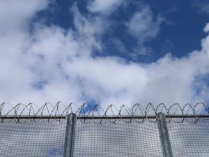 Supporting image for story: Researchers call for prisons to be prioritised for vaccines