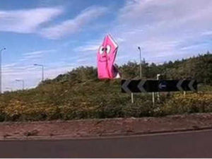 Supporting image for story: Bulletin: Pink Panther returns and memorial mistake corrected