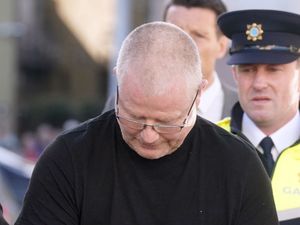 Supporting image for story: Murder trial jury shown photos of ‘gravesite’ in Satchwell home