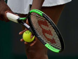 Supporting image for story