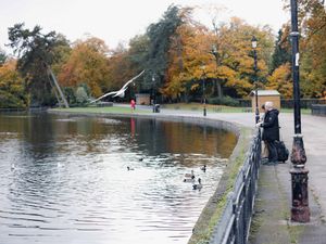 Supporting image for story: 13 West Midlands community projects to reconnect people with nature